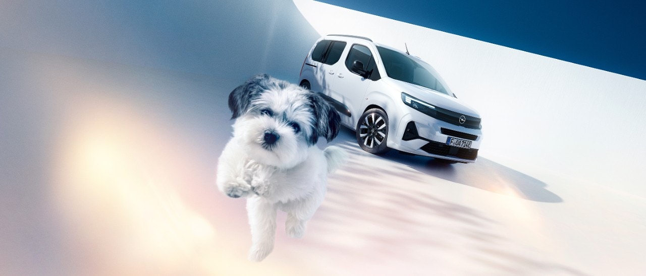 Vue de face d'un Opel Combo Electric blanc et d'un chien
