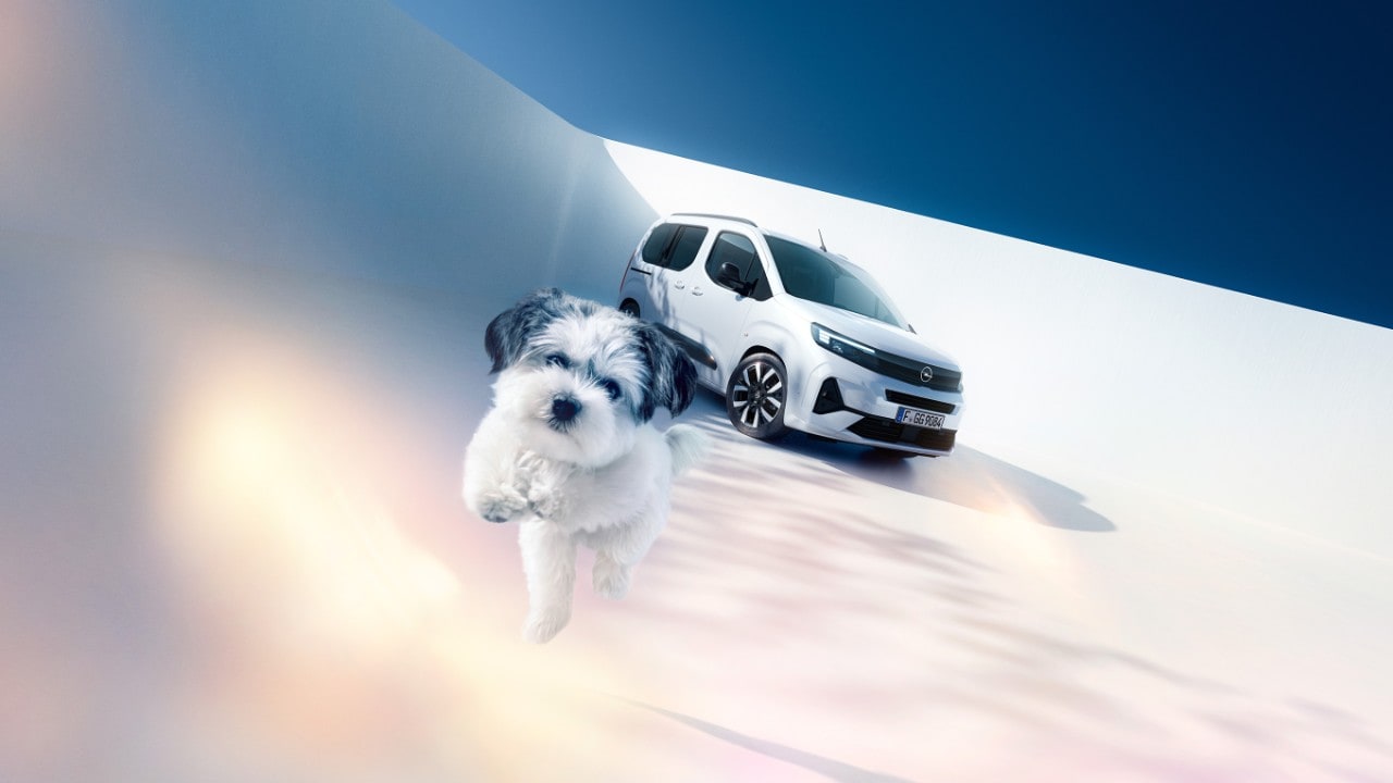 Vooraanzicht van een witte Opel Combo en een hond
